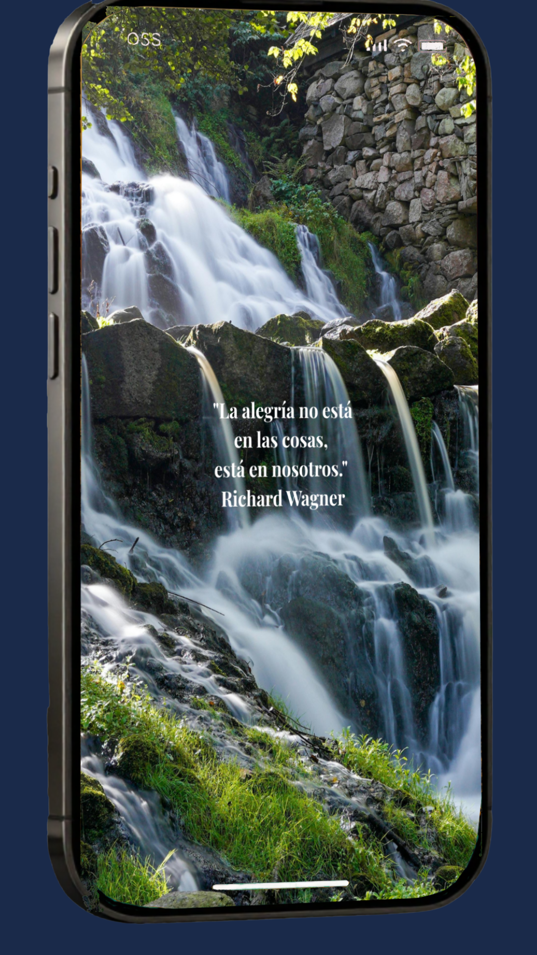 Fondo de pantalla 6